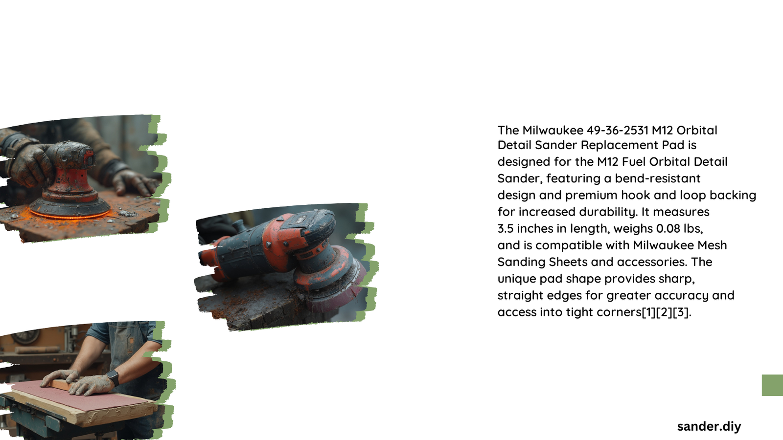 detail sander replacement head
